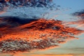 020808 013kk.jpg